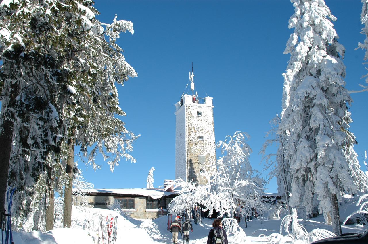 Landgasthof/Landhaus Waldlust Bischofsgrün المظهر الخارجي الصورة